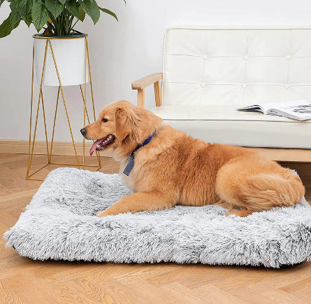 Orthopedic Waterproof Plush Dog Bed for Better Sleep